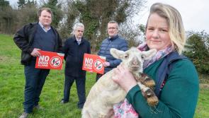 ‘No Dogs Allowed’ dog control campaign to continue in 2023