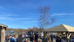 Potato Day is back at the Organic Centre in Leitrim