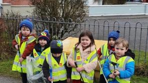 Gallery: Young and old help out at Carrigallen Spring Clean