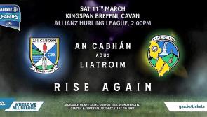 BREAKING: Leitrim hurlers' Allianz NHL Division 3B clash with Cavan postponed