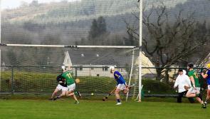 Hurlers do their part to keep Leitrim's League Final treble hopes alive