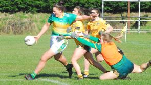 Leitrim captain Michelle Guckian is just one of a team of leaders