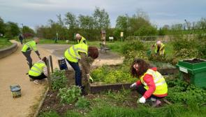 All the latest news from Carrick-on-Shannon Tidy Towns