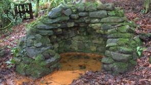 Biodiversity Day to be held  in Leitrim on May 25 