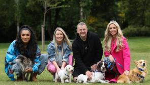  ISPCA Launches Urgent National Emergency Appeal 
