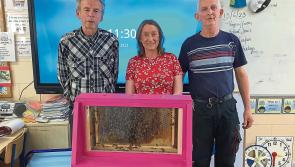 Four Masters buzzing after visit from local beekeepers