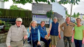 IN PICTURES: 'Lovely Leitrim' Village Volunteers at work 