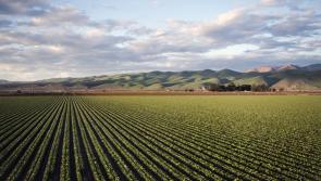 INHFA calls for re-negotiation of land designations following ECJ ruling