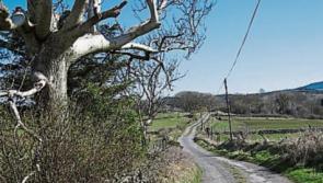 Repairs to lanes should be prioritised for people with medical issues