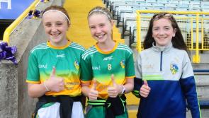 Die hard Leitrim fans cheer on Green & Gold in Wexford - GALLERY
