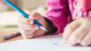 Number of Ukrainian students enrolled in Leitrim schools, revealed