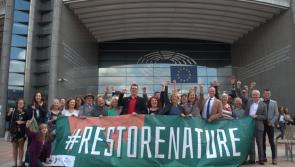 Leitrim Greens welcome new law 