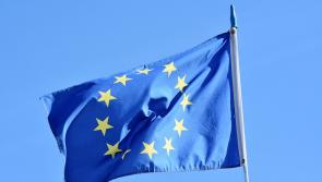 European Parliament takes common sense approach to emissions directive says IFA