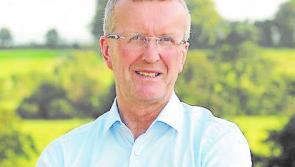 Focus of Nature Restoration Law debate now moves to trilogues