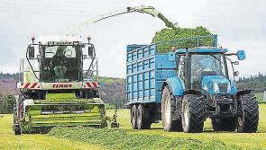 Contractor survey shows 15% drop in silage acreage