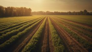Deadline extension for ACRES  scorecards cannot lead to payment delays