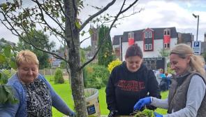 Leitrim communities invited to nominate volunteers for national award