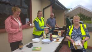 Successful Dromahair river and nature study day