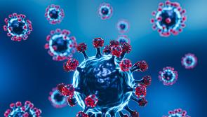New research shows over 5% of adults actively living with symptoms of long COVID-19