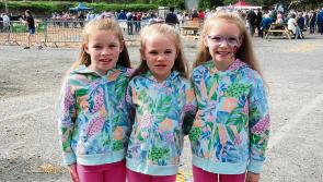 Photo gallery from this year's Mohill Agricultural Show