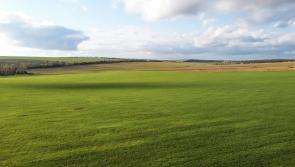 ACRES Tranche 2 to open in mid-October - IFA