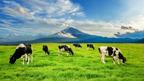 Urgent reminder of Quality Assurance deadline 
