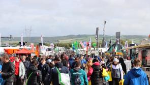 Improved weather boosts attendance figures for day 2 of the National Ploughing Championships