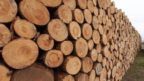 Open call for proposals for Forestry Promotion Projects for 2023-2024
