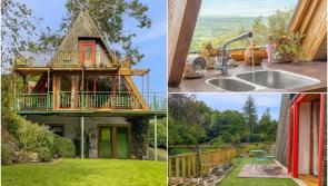 IN PICTURES: Unique 'treehouse' in Irish countryside hits market for &euro;435,000
