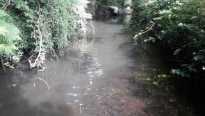 Uisce Éireann to pay over €7,000 for pollution incident
