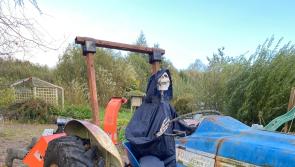 Samhain at the Organic Centre, Rossinver