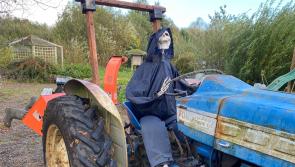 Spooky goings on for Samhain at The Organic Centre