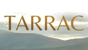 Irish language on screens at the Classic Cinema session at The Dock 