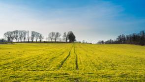 INHFA calls for increased ACRES funding