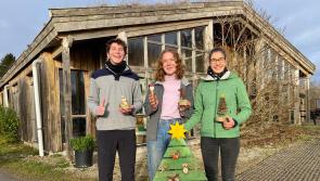 Sustainable Christmas at the Organic Centre