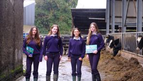 ‘A farm without a farmer is nothing’: Carrigallen students launch Farm Safety Calendar 