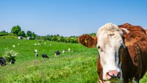 Expecting farmers to reduce stock by January 1 is totally unfair