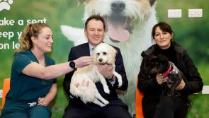 €39,400 funding for Leitrim Animal Welfare