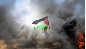 Fallon calls for Leitrim to support sanctions against Israel