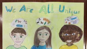 Gaelscoil Chluainin and Gortletteragh NS named County Winners in prestigious 'Someone Like Me' art competition