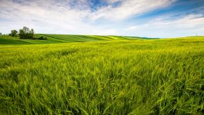 Local organics project receives major Government funding