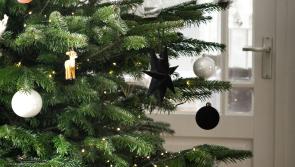 Christmas tree recycling available in Leitrim this January