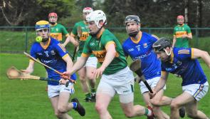 Hurling highs and low reflected in Leitrim captain Martin Feeney's review of 2023