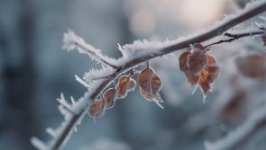 Cold and mostly cloudy weather with some clear spells on Thursday