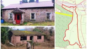 PICTURES: Two fixer-upper Leitrim cottages on over 14 acres on sale for bargain price