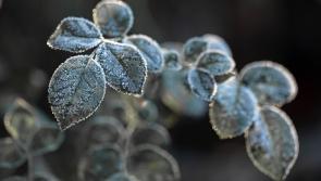 Met Éireann is predicting a cold weekend with scattered showers and some clear spells 
