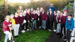 ‘Planting Trees for a Greener Future’