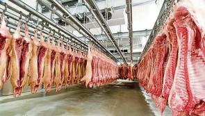 Farmers cannot bear the cost of retailers’ price cuts