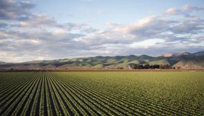 Agriculture Appeals Review Panel must be fair and independent