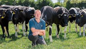 Operating surplus of Irish Agri falls by 36% in two years 